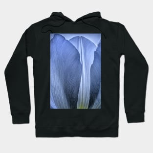 Blue Tulip Close-up Hoodie